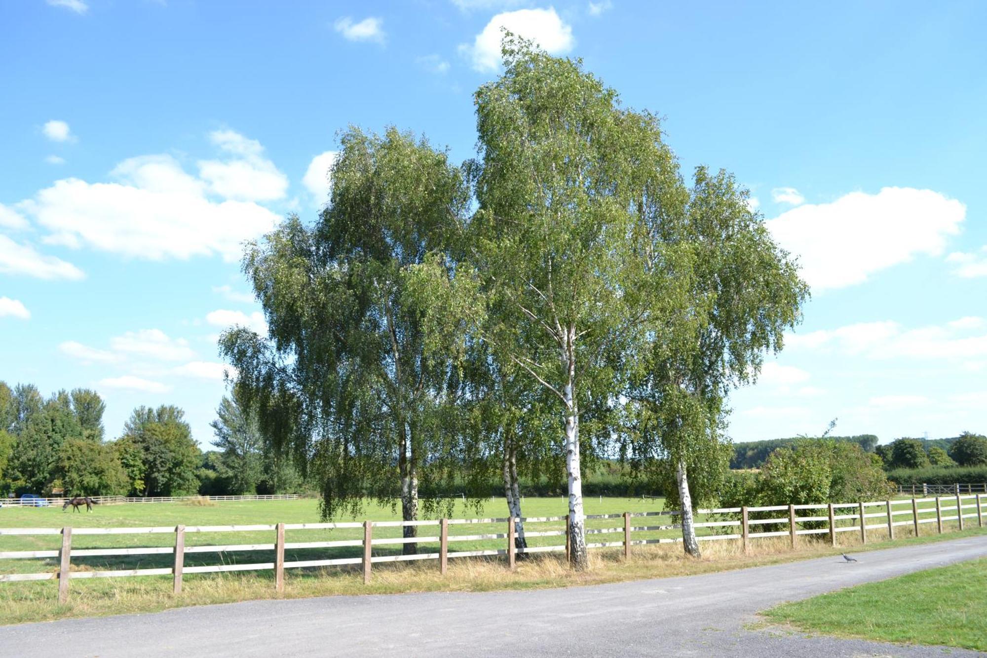 The Chiltern Lodges At Upper Farm Henton Chinnor Room photo